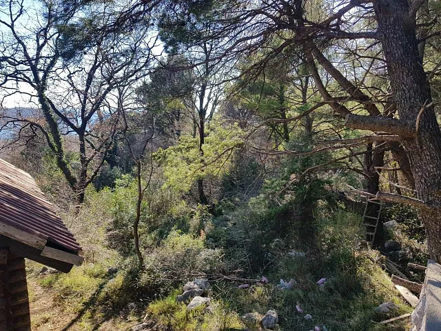 Las Land — photo 4