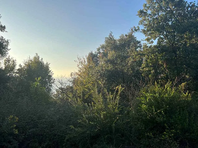 Grundstück mit Meerblick in Pechurice — photo 7